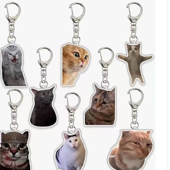 Badminton Meme - Hot Style Internet Celebrity Cat Head