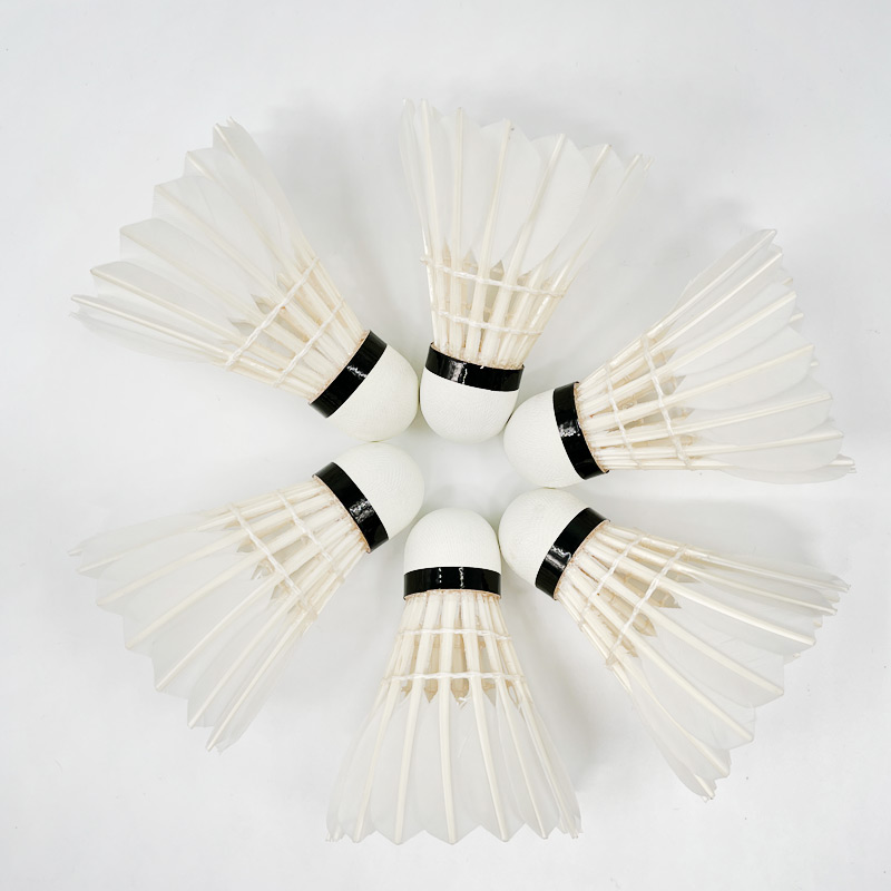 G8 Goose Feather Traditional B - Badminton Championship ulasan dan harga