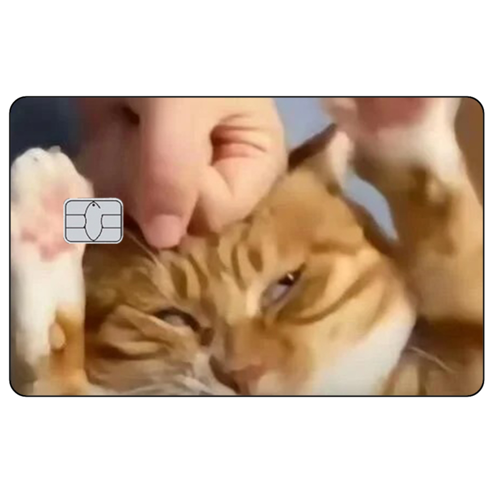 Cute Cat Meme Credit Card Skin - Badminton Meme ulasan dan harga